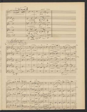 Scherzo. Allegro vivace