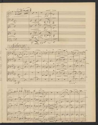 Scherzo. Allegro vivace