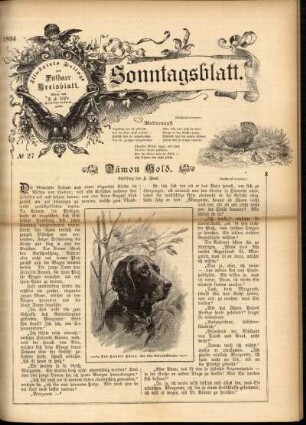 Ausgabe vom Sonntag, den 08. Juli 1894.