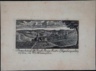 Prospekt der Gräfl. Reuss. Plauische Stadt und Pflege Langenberg bey Gera