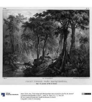 „Fôret vièrge près Manqueritipa dans la province de Rio de Janeiro“ (Urwald bei Mangaratiba in der Provinz Rio de Janeiro)