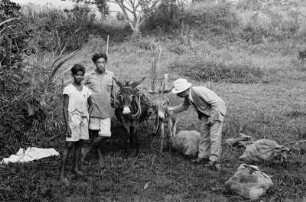 Reisefotos Karibik. Trinidad. Der Fotograf mit einem Eselskarren und zwei Einheimischen