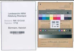 Entnazifizierung Heinrich Borrmann , geb. 23.12.1899 (Ingenieur)