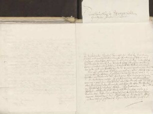Würz an Karoline Luise von Baden (Baden-Baden)