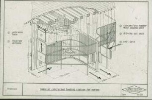 Computer controlled feeding station for horses