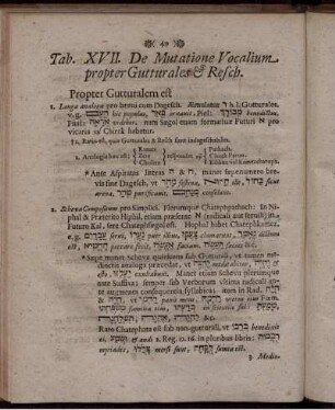 Tab. XVII. De Mutatione Vocalium propter Gutturales & Resch