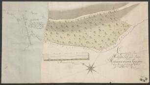 Geometrischer Plan über den im Marzeller Forst und Bann liegenden herrschaftlichen Knilberg