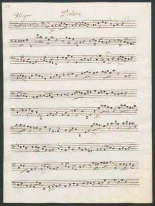 Violone