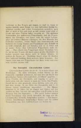 Der Sternapfel. Chrysophyllum Cainito.