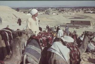 Reisefotos Ägypten. Kamelführer