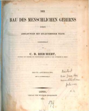 Der Bau des menschlichen Gehirns, 1