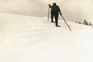 Skischule. Treppenschritt schräg