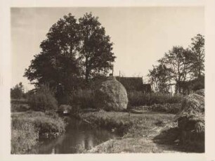 Mark Brandenburg. Spreewaldlandschaft bei Alt-Zauche. Ansicht eines Fließes. In der Bildmitte ein Heuschober. Im Hintergrund Erlen und Bauerngehöfte