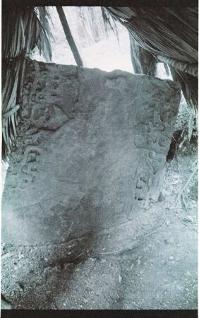 El Peru, Stela 30 (PRU: St. 30)