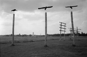 Auf dem Flughafen Tempelhof