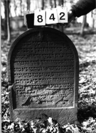 Grabstein 842 (Index: 99902268) Material: Sandstein Zustand: stark verwittert, Efeu, leicht eingesunken Maße HxBxT: 85x56x9 cm Besonderheit: kulturhistorisch wertvoll / künstl.-formale Gründe: Grabstein 842
