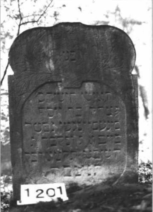 Grabstein 1201 (Index: 99898173) Material: Sandstein Zustand: unten verwittert Maße HxBxT: 88x63x8 cm Beschreibung: Stele mit eingezogenem Schulterbogenabschluss, im Bogenfeld Ranken Symbolik: Ranken: Grabstein 1201