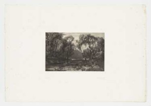 Berglandschaft mit Bäumen und Fluss, Blatt 53 der Folge "Werke"