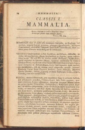 Classis I. Mammalia