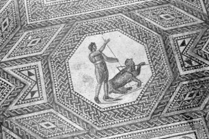 Nennig: Römischer Mosaikfußboden, Ausschnitte
