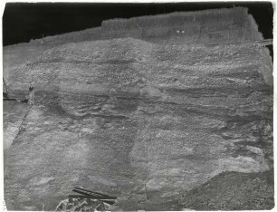 Elephas antiquus, Grube Sigrist