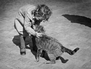 Kinderbilder. Kleines Mädchen, eine Katze streichelnd