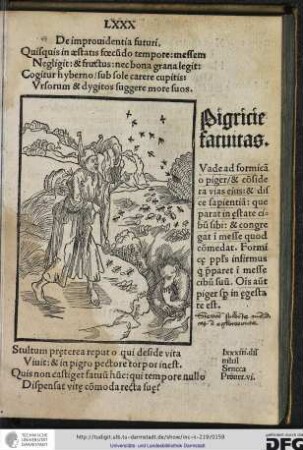 De improvidentia futuri.
