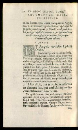 Argumentum Capitis Secundi.