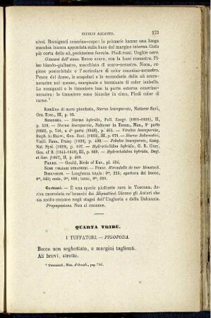 Quarta Tribù. I Tuffatori. - Pigopoda.