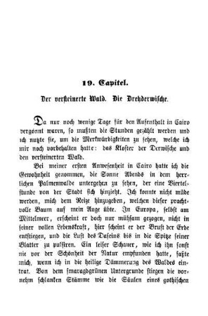 19. Capitel. Der versteinerte Wald. Die Drehderwische.