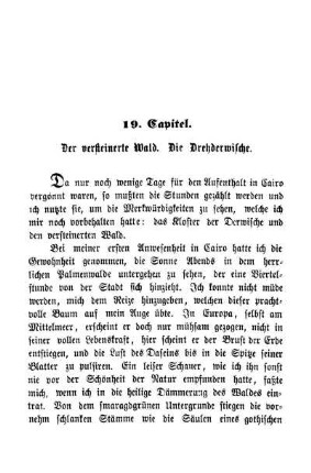 19. Capitel. Der versteinerte Wald. Die Drehderwische.