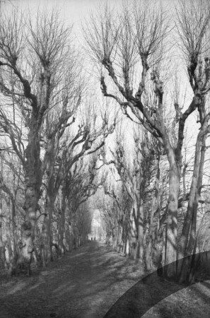 Jersbeker Park: Heckengang