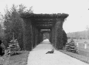 Parkpartie mit bewachsener Pergola, vielleicht Leipziger Raum