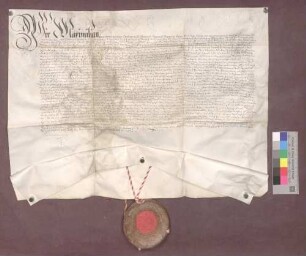 Erzherzog Maximilian von Österreich bestätigt die in dem inserierten Privileg Erzherzog Albrechts von 1457 Juli 4 und der Konfirmation durch Erzherzog Ferdinand von 1587 August 19 genannten Privilegien des Klosters Oberried im Wald.