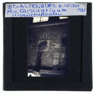Bad Deutsch-Altenburg, Museum Carnuntinum