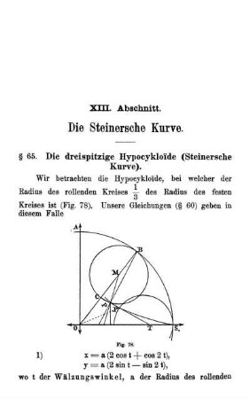 XIII. Abschnitt. Die Steinersche Kurve.