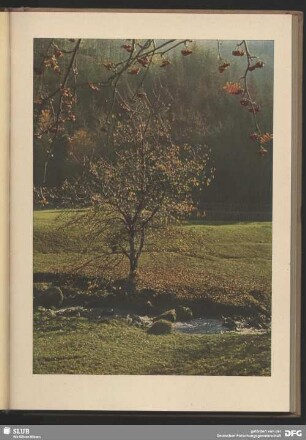 Später Herbst