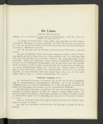 Läuse
