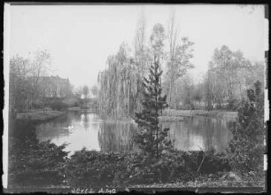 Geithain. Schwanenteich