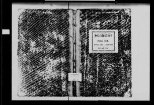 Unterschefflenz, evangelische und katholische Gemeinde: Standesbuch 1869-1869