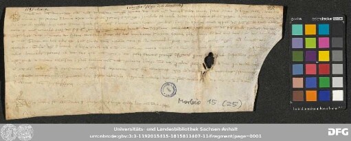 [Halle (Saale), Universitäts- und Landesbibliothek Sachsen-Anhalt, Morbio 15 (25)]
