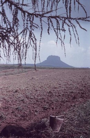 Sächsische Schweiz. Blick über ein Feld auf den Lilienstein
