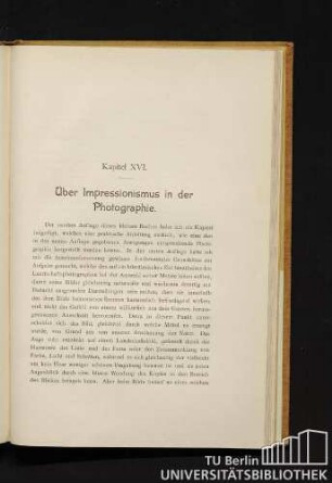 Kapitel XVI. Über Impressionismus in der Photographie.