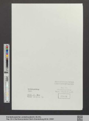 Loewe, Laura