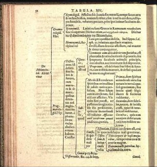 Tabula XIV.