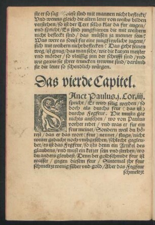 Das vierde Capitel.
