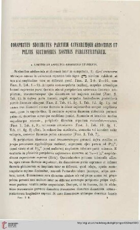 Conspectus succinctus partium cavearumque abdominis et pelvis sectionibus nostris perlustratarum