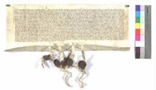 Sigmund und Conrat von Pfahlheim (Pfalhein) verkaufen an Engelhart von Haistershofen zu Röhlingen Äcker und Wiesen um 71 Gulden.