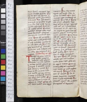 Eustachius (Placidus), Theopistae et filiis