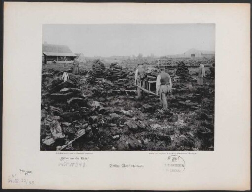 Rothes Moor (Torfwerk).